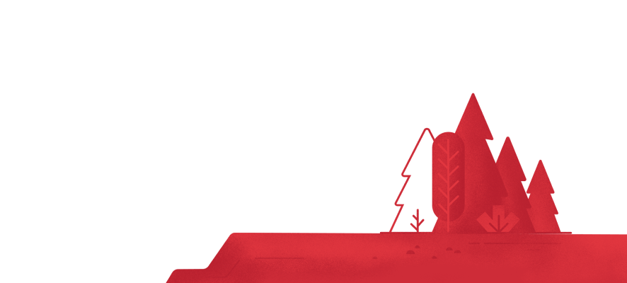 Bear Background Image